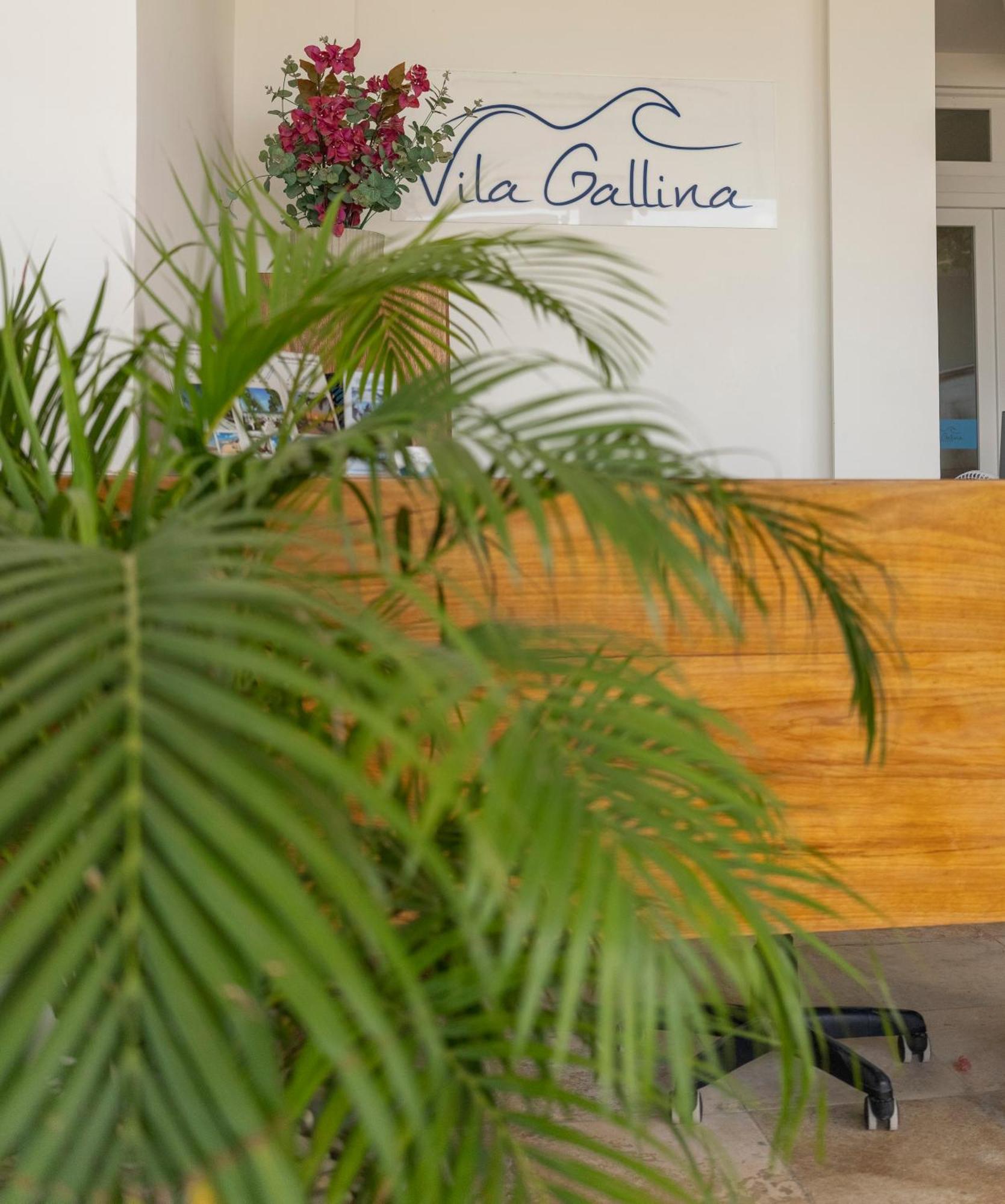 Vila Gallina Pousada Jijoca de Jericoacoara Buitenkant foto